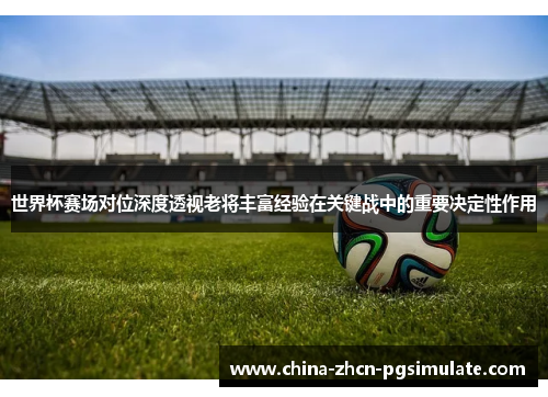 世界杯赛场对位深度透视老将丰富经验在关键战中的重要决定性作用